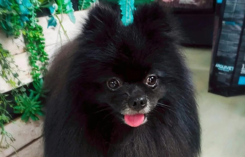 Titan's Health Records